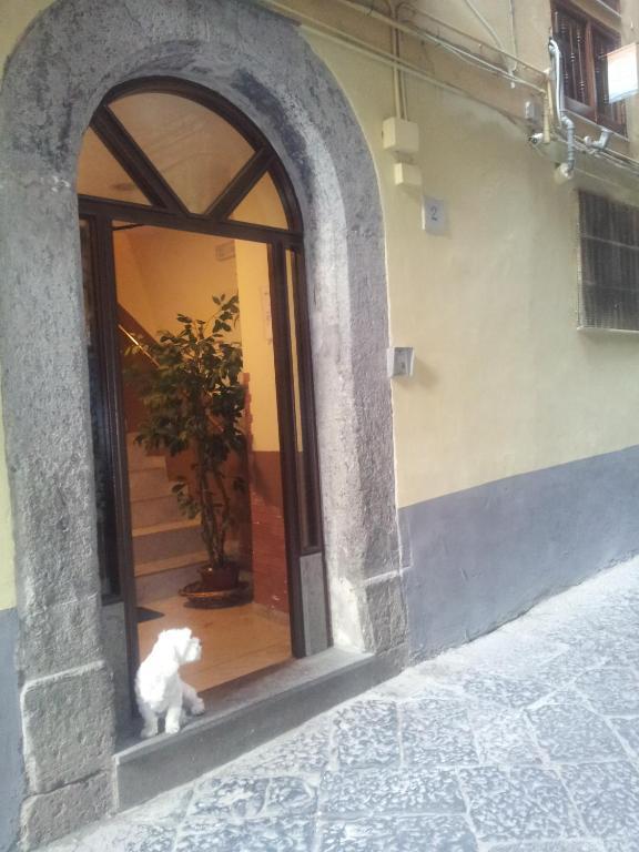 Hotel Dei Gerolomini Neapol Exteriér fotografie